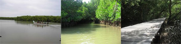 lagoon-muthupet2