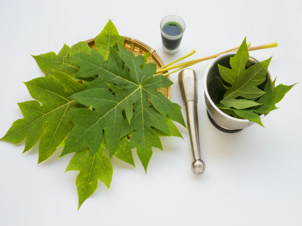 papaya leaves